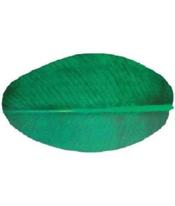 Revexo Set of 6 PVC Table Mats