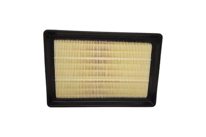 Zip Air Filter AV419427