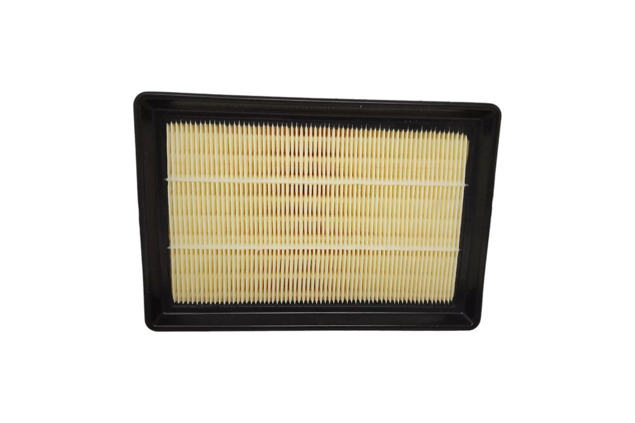 Zip Air Filter AV419427