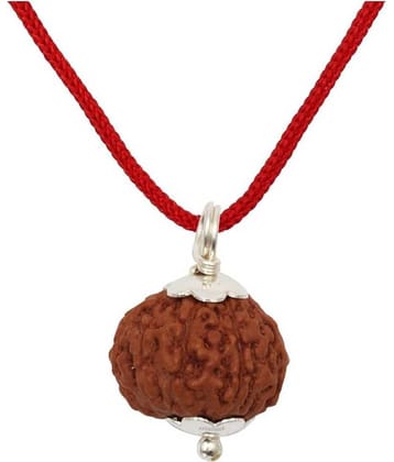 Astrodidi 9 Mukhi Rudraksha Pendant With Lab Report (Size Approx 15 Mm Small Size)