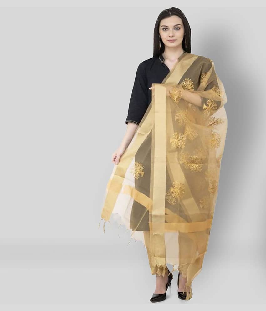 A R Silk Gold Tissue Hand Embroidered Dupatta