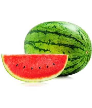 Iris Hybrid Fruit Seeds Watermelon with Instruction Manual