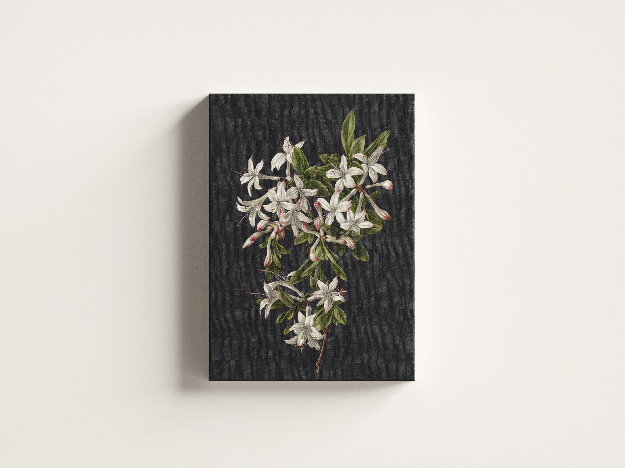 FURNISHUB Branch of Azaleas in Bloom, M. de Gijselaar 1831 | Famous Artwork | Canvas Painting | Gift | Wrapped Museum Finished Canvas