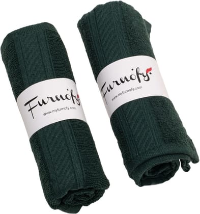 Furnofy Cotton 450 GSM Hand Towel Set Green (Pack Of 2)