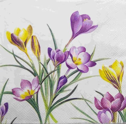 Decoupage Napkin / Tissue papers - GT1733