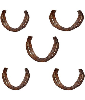 Shri Astha Vinayak Original Kale Ghod Ki Naal/ Black Horse Shoe for Good Luck And Restrict Bad/Evil Energy(SET OF 5)
