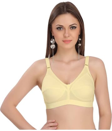 Eve's Beauty Cotton Vintage Bra