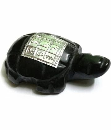 ASTRODIDI Stoneware Tortoise (Black) for Remove Vastu Dosh