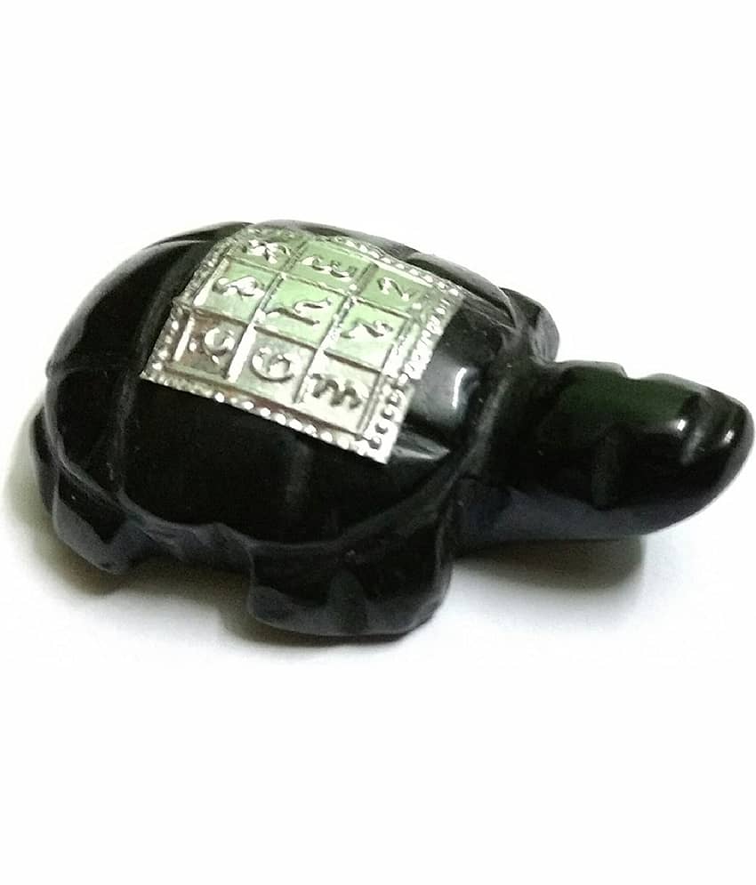 ASTRODIDI Stoneware Tortoise (Black) for Remove Vastu Dosh