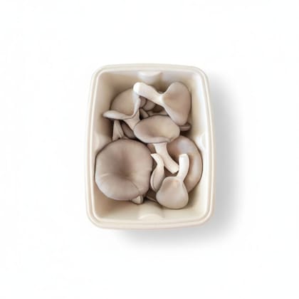 Fresh Oyster Mushrooms - 100 gm - One tray of fresh Oyster mushrooms