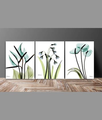 Saf - Art Prints With Frame