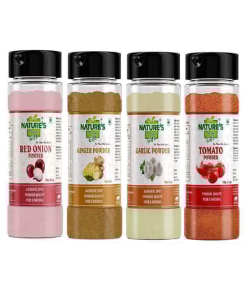 Natures Gift - 100 gm Garlic Powder (Pack of 4)