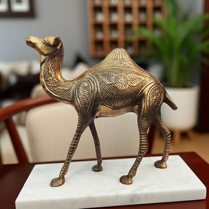 Traditional Brass Camel Decorative Showpiece Statue for Living Room & Office, Height : 8 Inch (ANMAS074 B)