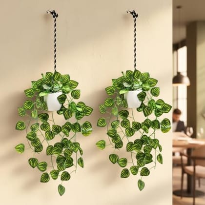 Artificial Hanging Ivy Plant with White Hanging Pot & Rope, Pack of 2, Realistic Green Leaf Creeper for Home,