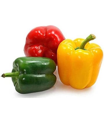 Bellpepper Misticanza Seeds, Colourful Shimla Mirchi Seeds (Pack of 30 seeds)