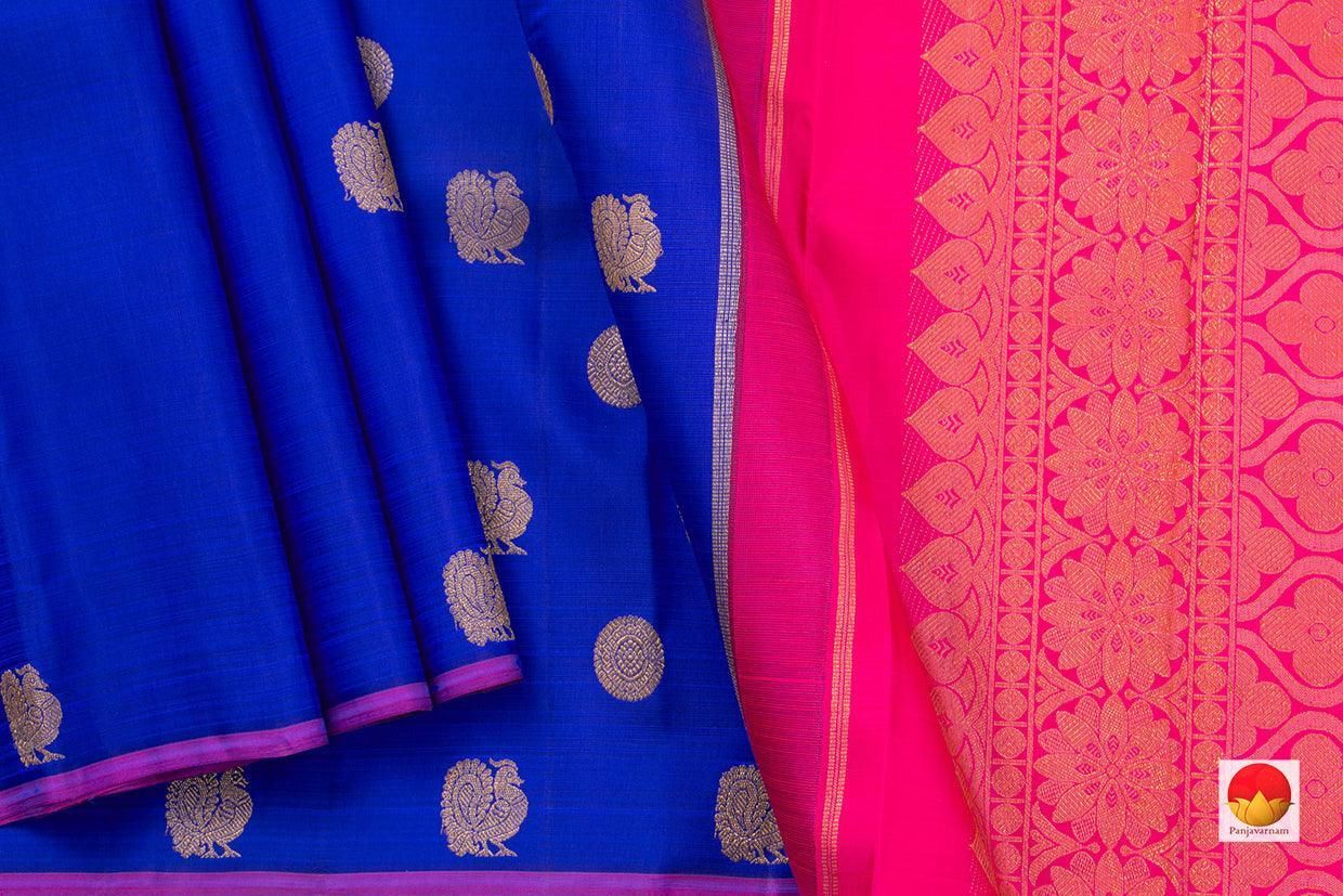 Blue Borderless Kanchipuram Silk Saree Handwoven Pure Silk Pure Zari For Festive Wear PV NYC 356