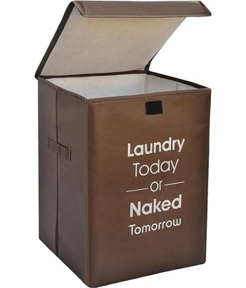 SH NASIMA - Brown Laundry Bag