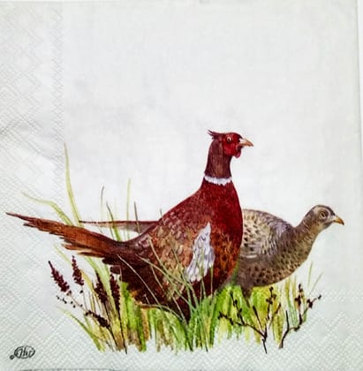 Decoupage Napkin / Tissue papers - 25cm*25cm - GT3186