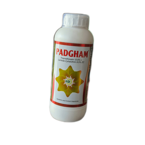 PADGHAM 1 L - 1 L - 1 L - SINGLE UNIT PACK