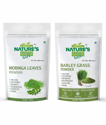 Nature's Gift- Powder NA Ayurvedic (Pack of 2)