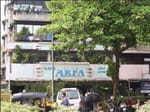 Cafe Arfa