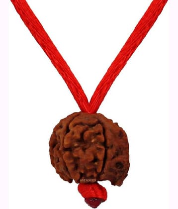 Astrodidi Nepali Ganesh Rudraksha With Lab Certificate