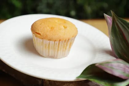 Plain Muffin