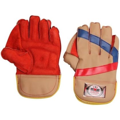VIRLOK Foam Wicket-Keeping Gloves, Mens, Cricket, Standard, Multi-Colour