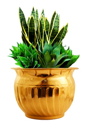 Brass Handmade Designer Planter, Flower Pot, Home Decor-15CM