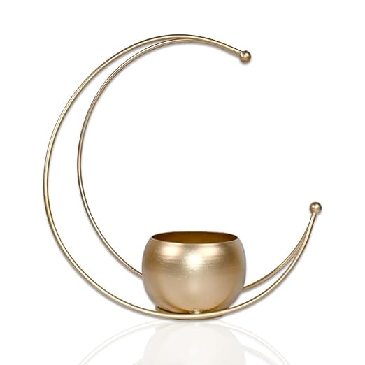 Metal Moon Shaped Flower Vase