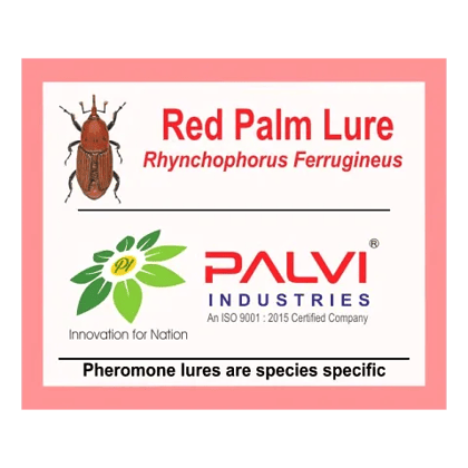 Red palm weevil  by Palvi industries