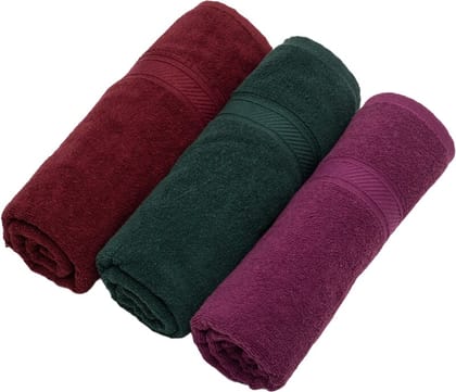 Furnofy Cotton 450 GSM Bath Towel Merun, Olive Green, Magenta (Pack Of 3) Furnofy Cotton 450 GSM Bath Towel Merun, Olive Green, Magenta (Pack Of 3)