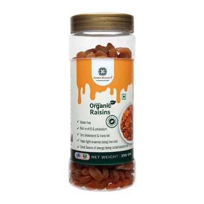 GB Organic Raisin/Kishmish - Healthy Vegan Snack (500g) (Weight - 500g) by green blossom agritech ventures private limited