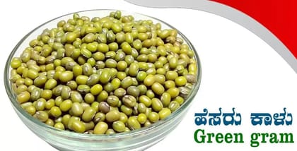 Kodli Kisan Green Gram  1kg | Unpolished Moong Dal Whole | Protein-Rich & Naturally Grown