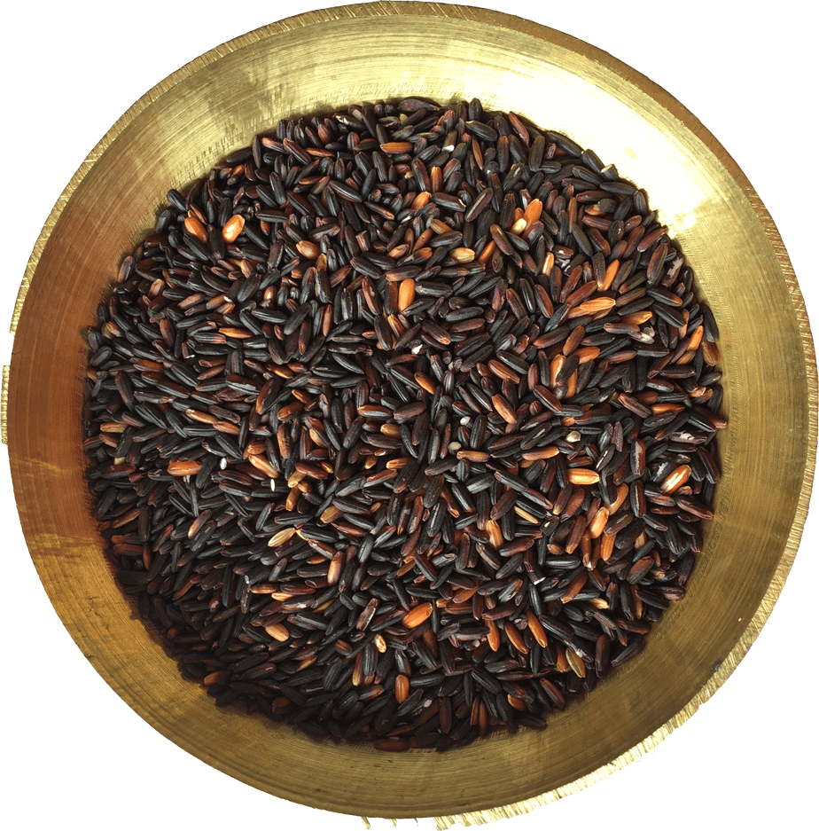 Black Rice | Chak Hao (5 Kg Pack)