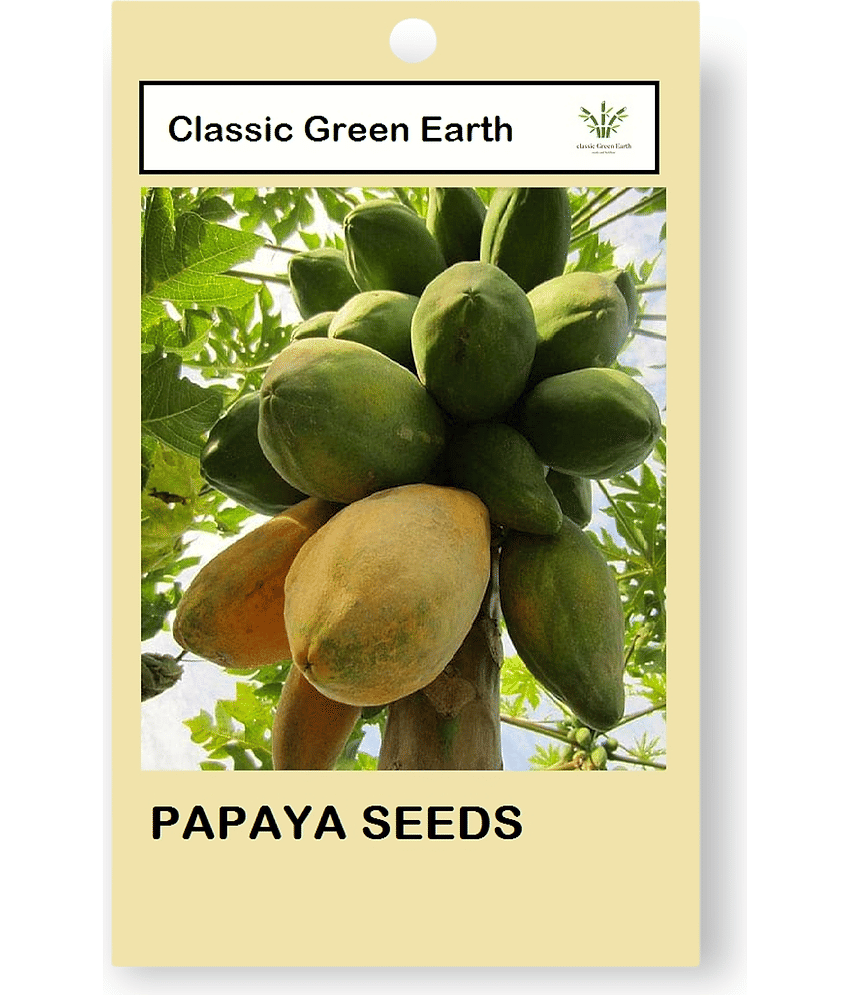 CLASSIC GREEN EARTH - Fruit Seeds ( 20 )