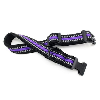Radium Collar 1 inch 25mm (Purple) Radium Collar 1 inch 25mm (Purple)