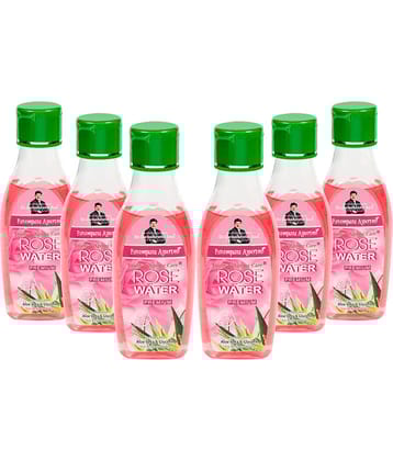 Parampara - Refreshing Skin Freshener For All Skin Type ( Pack of 6 )