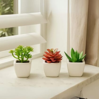 Artificial Flower with Ceramic Pot| Artificial Plants with Pot| Small Succulent for Home Decor, Office, Living