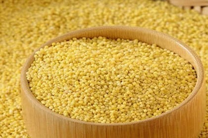 FOXTAIL MILLET 500 G
