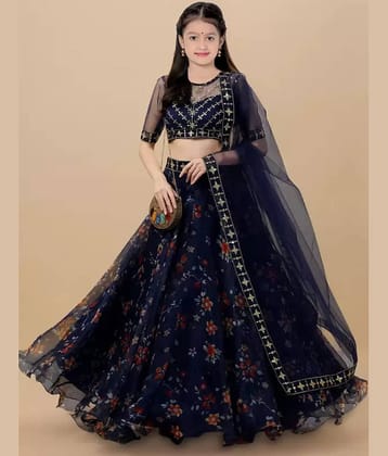 piludi Organza Lehenga Choli Set For Girls ( Pack of 1 , Blue )