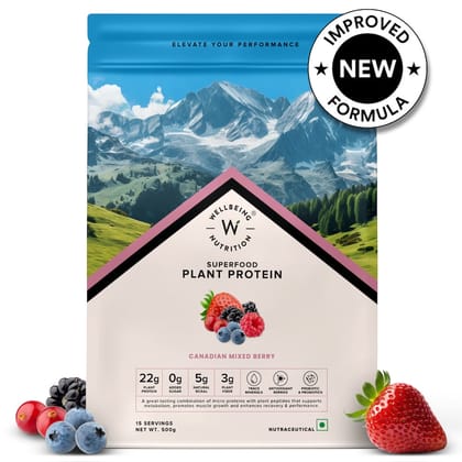 Vegan Protein - Canadian Mixed Berry-Pack of 1