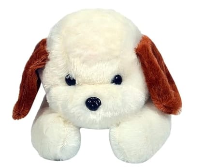 Richy Toys White Dog Cute Plush Soft Toys for Kids Birthday Gift_assorted colour