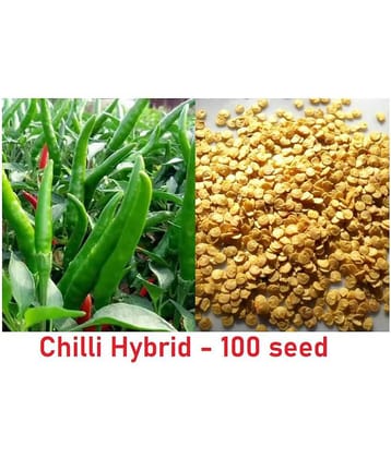 Pepper Chilli Hybrid Bengali Surajmukhi Type Seeds | 100 seeds