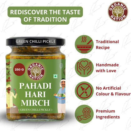 Foodsbay India Green Chilli Pickle | Traditional Indian Achar | 250 g