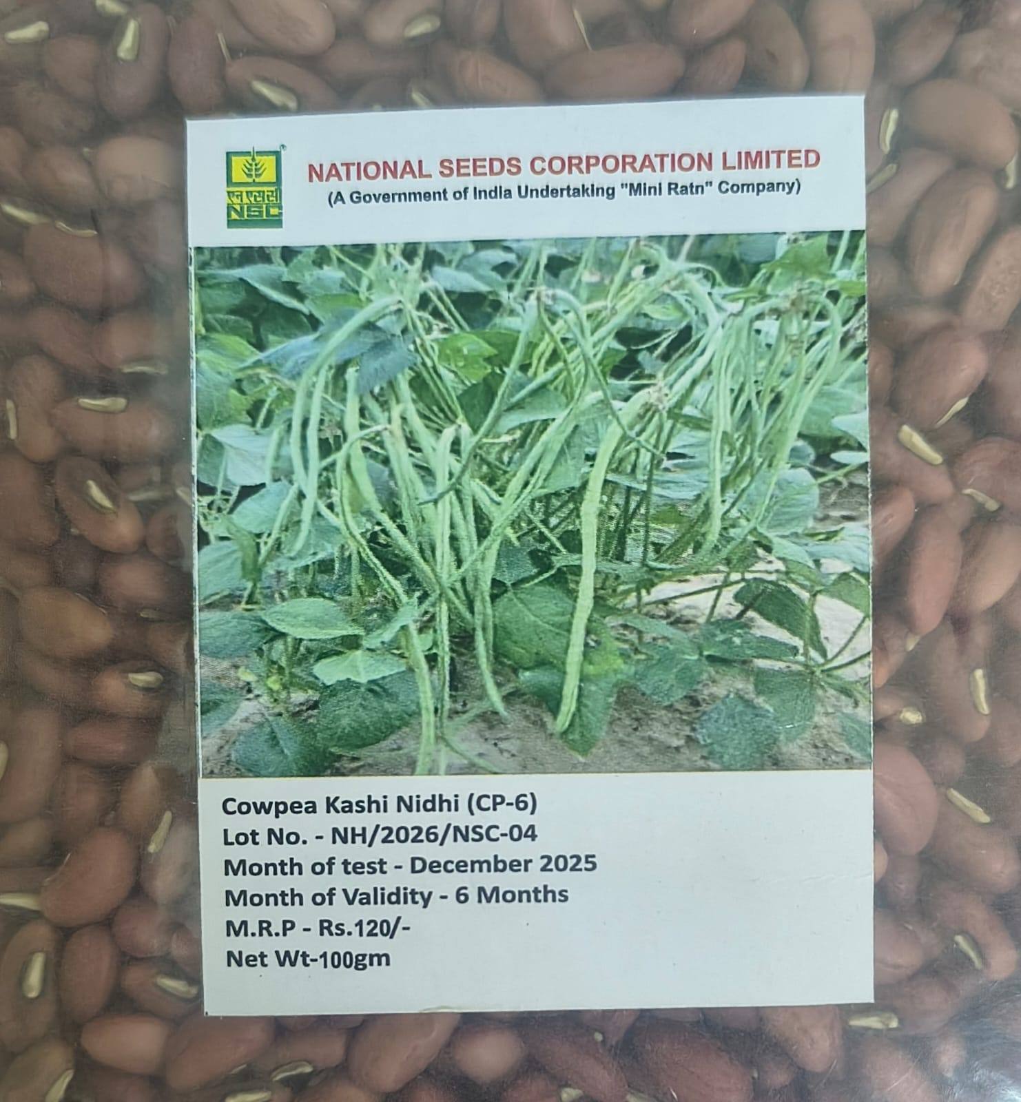 NSC Cowpea Kashi Nidhi - 100gm