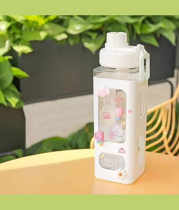 Flyhomes Multicolour Polypropylene Water Bottle 600 mL ( Set of 1 )