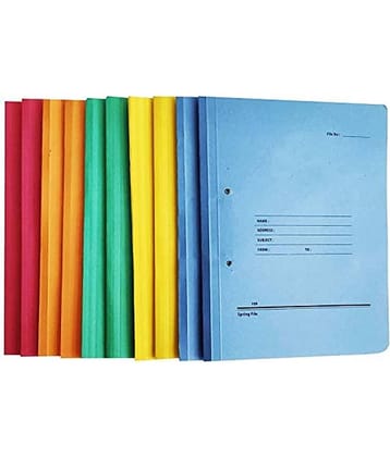 Eclet Assorted/Multicolour Certificate File ( Pack of 10 )