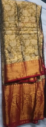 Exquisite Tissue Pattu Saree Traditional Indian Attire