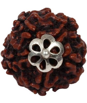 Astrodidi 5 Mukhi Rudraksha Pendant With Lab Certificate
